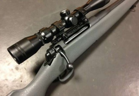 Hola, vendo un visor Bushnell 3-9x40, tubo de 1", 1/4 MOA, retícula Multi-X, es el de serie de un 11