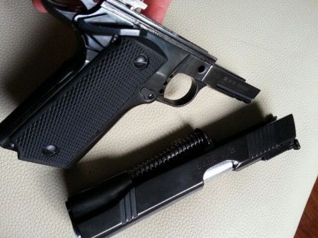 Hola a todos

Pongo a la venta mi Norinco NP44. Se trata dl clon de Norinco de la Paraordenance P14. Es 80
