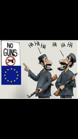 No sé si estais al tanto de esta noticia:

https://ukshootingnews.wordpress.com/2015/11/17/the-eu-will-publish-a-total-semi-auto-rifle-ban-proposal-tomorrow/

Pero 30