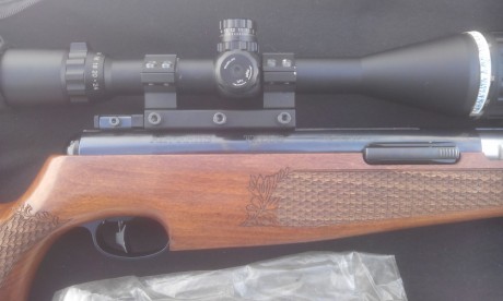 Hola compaňeros pues lo dicho vendo mi air arms tx200 5,5 y visor leapers 6-24x50, la carabina esta muy 00