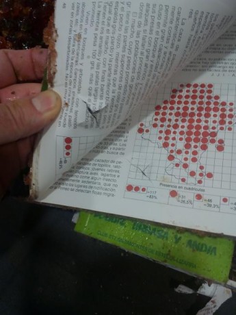 Buenas a todos, 

Este finde pasado estaba aburrido y me propuse cuantificar de alguna forma más objetiva 21
