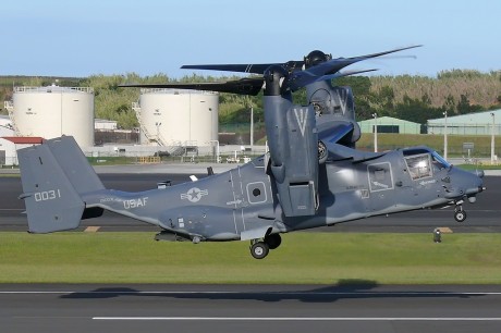 Pues eso, en este hilo pretendo deleitaros como amantes de los aviones de combate que sois muchos, con 81