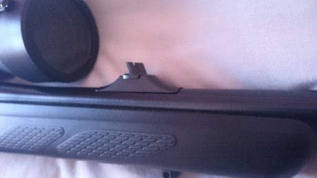 Vendo tikka lite 338wm con monturas desmontables warne, visor Tasco titan 3-12x52 y dos cargadores.
El 12