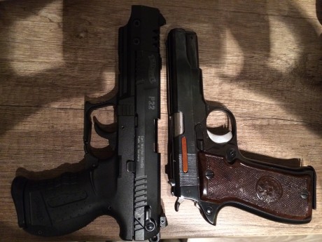 Hoal cambio estas dos armas guiadas en A por una 9mm de defensa que me interese, valoro todas las ofertas.


Walther 01