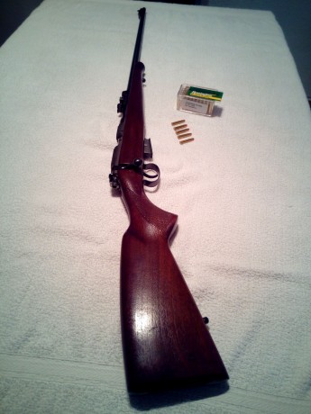 Saludos! 
Vendo carabina Ceska 452 del .22 Magnum. 
Se puede ver y probar en Valencia. Pido 300,00€
La 12