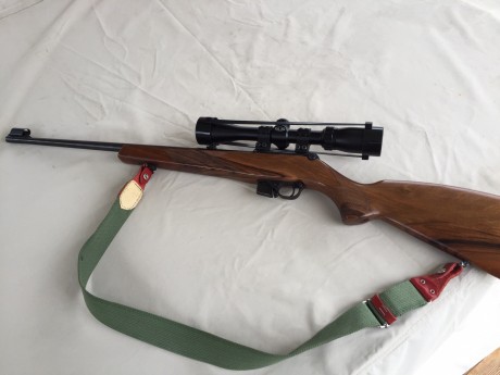 Vendo carabina Cz 511 ceska zbrojovka del calibre .22Lr

Es una carabina semiautomatica de gran calidad 01