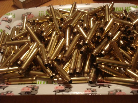 Vendo 185 vainas marca DAG by RWS del calibre .300 Winchester Magnum con un solo disparo efectuado, pulidas 02