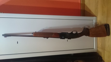 Vendo rifle Remington semiautomático calibre 243 win.
Un rifle caprichoso
Cañón de 56cm.
Agrupación submoa 01