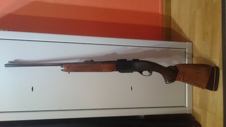 Vendo rifle Remington semiautomático calibre 243 win.
Un rifle caprichoso
Cañón de 56cm.
Agrupación submoa 00