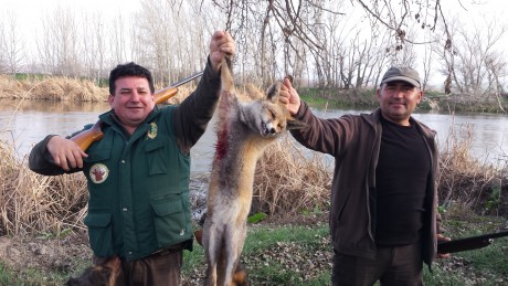 Bueno compañeros viendo que hay incondicionales para todo abro este para ver los seguidores de la caza 90