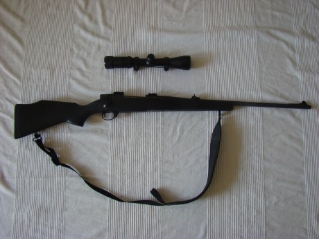 Vendo Weatherby vanguard fibra 300wm, con bases y monturas warne desmontables, visor Pentafles 1,5-6x42, 02