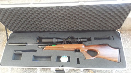 Vendo esta carabina extremadamente precisa con field target tropy calibre 5,5 es la carabina más silenciosa 01