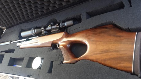 Vendo esta carabina extremadamente precisa con field target tropy calibre 5,5 es la carabina más silenciosa 00