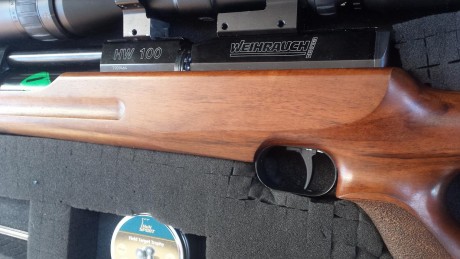 Vendo esta carabina extremadamente precisa con field target tropy calibre 5,5 es la carabina más silenciosa 11