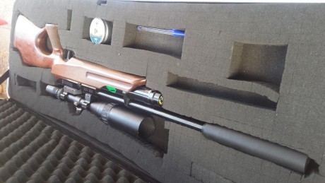 Vendo esta carabina extremadamente precisa con field target tropy calibre 5,5 es la carabina más silenciosa 10