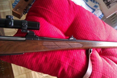 Vendo CZ Stutzen 8x57 JS con muy poco uso. Perfecto de pavón y maderas.Gatillo con pelo francés.
 Incluyo 11