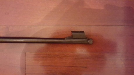 Buenas noches,

Pido opinión sobre una compra que tengo reservada, es una CZ 452 Luxe Still (still- cañon 00