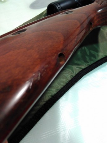 Como indica el titulo vendo esta carabina en el calibre 5,5 porque me e pasao al pcp y no la uso.
El precio 20