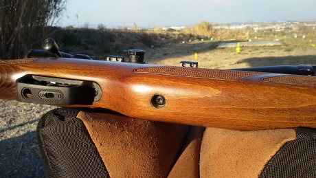 Gamo coyote, calibre 5,5 a 24j, es un bisturí a 50m, tiene aproximadamente medio año, la única falta que 02