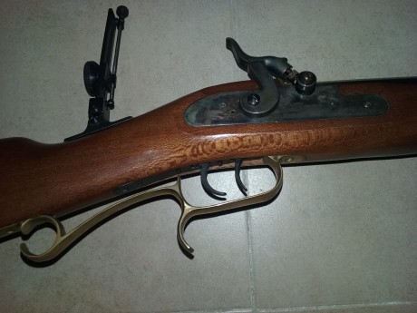 Se vende equipo de Avancarga  compuesto por:
REVOLVER PIETTA REMINGTON 1858 CAL 44.

PISTOLA ARDESA EUROPA 10