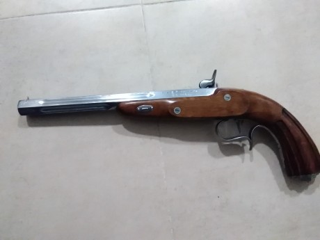 Se vende equipo de Avancarga  compuesto por:
REVOLVER PIETTA REMINGTON 1858 CAL 44.

PISTOLA ARDESA EUROPA 41