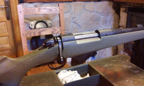 Vendo rifle de cerrojo en calibre 300 w mag.
Marca Bergara...modelo B14 hunter.
Culata color verde sintetica.
Cañon 01