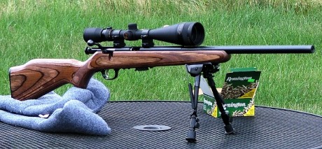 Qué carabina me aconsejais para BR 50? Y para Mini F-Class?

Me gusta la CZ de cañon pesado y la Remington 20