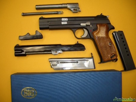 Sin lugar a dudas la pistola 9mm mas precisa de todos los tiempos es la SIG P210. Es imbatible en precisión 160