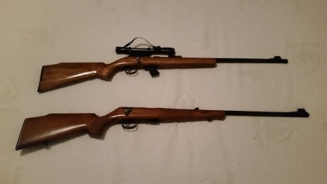 Hola compañeros, vendo 2 carabinas Anschütz para hacer sitio y pasta para comprarme otra carabina monotiro, 12