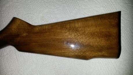 Hola compañeros, vendo 2 carabinas Anschütz para hacer sitio y pasta para comprarme otra carabina monotiro, 10