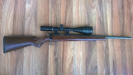 Vendo Carabina CZ 453 VARMINT - Cañón pesado - en muy buen estado

Incluyo 2 Cargadores 
Funda 
El Visor 00