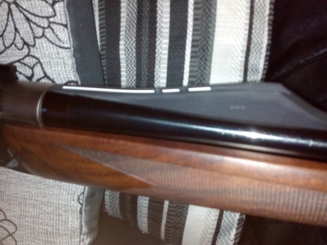 No veo si esto esta ya hablado,por eso lo preguntó, según el manual de mi FN browning long track hunter, 02