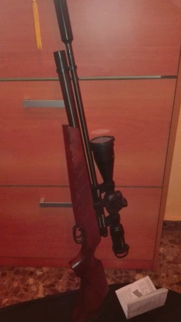 Vendo BSA Buccaneer del 4,5 con silenciador lobo que la deja muda,cargador de 10 tiros, visor BSA 3-7 00