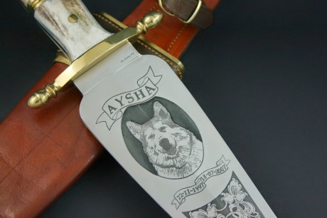 Buenas noches a todos:
Quiero sorprender y regalar a mi hijo una pistola Infinity (comprada nueva hace 20