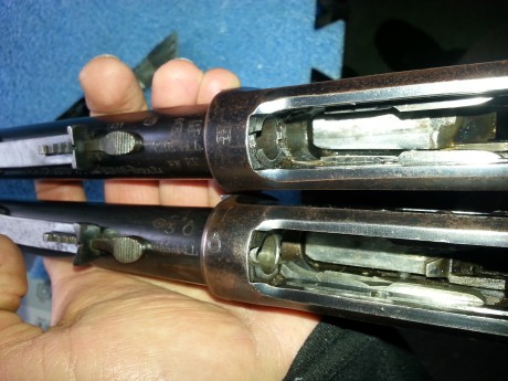 Buenos días:
Hace días puse un tema en el foro porque mi carabina Tigre venía sin expulsor, y por tanto 20