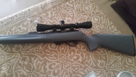 Hola se vende por no usar carabina prácticamente nueva marca remington mod 597.Ademas lleva incorporado 01