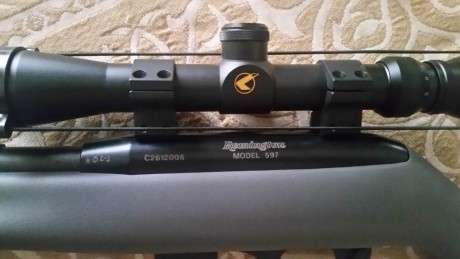 Hola se vende por no usar carabina prácticamente nueva marca remington mod 597.Ademas lleva incorporado 00