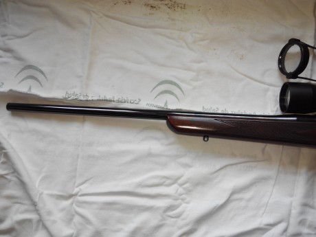 VENDIDO 12
