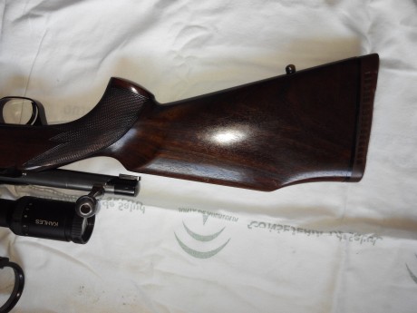 VENDIDO 11