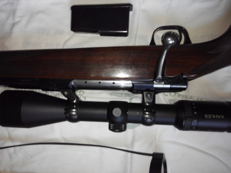 VENDIDO 22