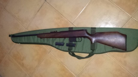 Buenas compañeros ,cambio carabina del 22 l.r  Voere  o carabina Erma Wenke ( replica de la M1  americana 00