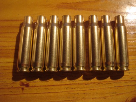 Buenos días,

Vendo vainas de la marca DAG by RWS del calibre .308Win. 1 tiro y pulidas con Tumbler a 00