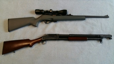 Hola a todos,

vendo carabina Remington 597 cal.22 sintética con visor Bushnell, casi sin uso. Precio 01