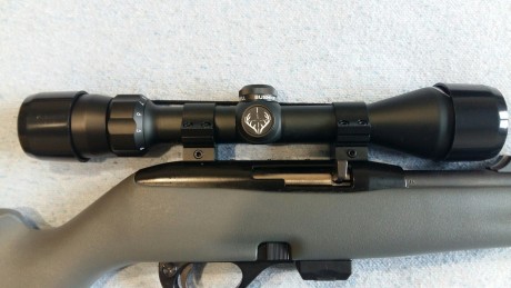 Hola a todos,

vendo carabina Remington 597 cal.22 sintética con visor Bushnell, casi sin uso. Precio 00