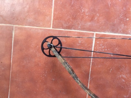 Vendo Arco de Poleas de Caza o Tiro

 Marca: MATHEWS solocam
 Modelo: FX
Está fabricando en Sparta Wisconsin 11