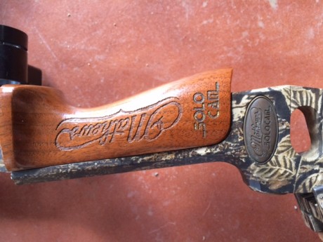 Vendo Arco de Poleas de Caza o Tiro

 Marca: MATHEWS solocam
 Modelo: FX
Está fabricando en Sparta Wisconsin 10