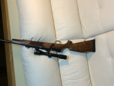 Pues empiezo yo :mrgreen: 3
De todas las armas que he tenido y tengo y de todos los disparos que he realizado, 100