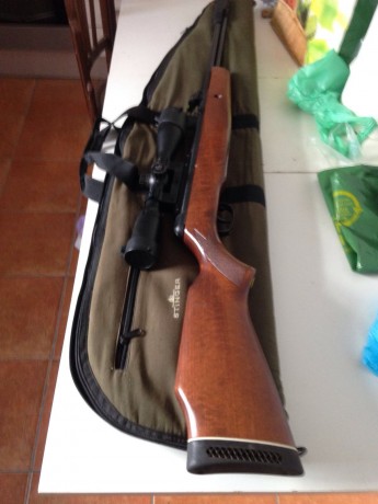 PUES ESO, vendo esta cfx Royal en calibre 5,5 con monturas monopieza y visor leaper nuevecito de 3-9x40 71