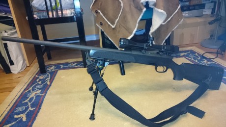 Hola a todos. Por dejar el tiro vendo mi ssg69 pII.  Una gran maquina que esta submoa. Tiene unos 1.100 31