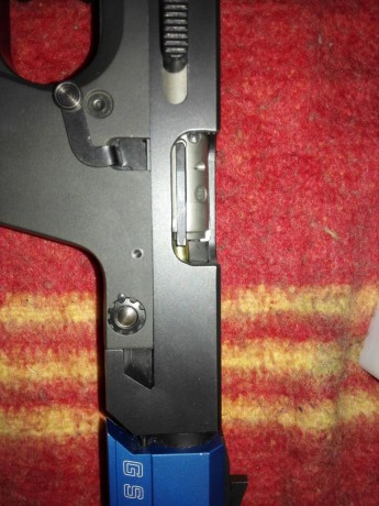Hola a todos, haber si podéis ayudarme. Estoy teniendo interrupciones con mi GSP EXPERT del 22 lr, he 00